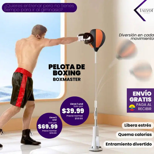 BoxMaster | Pelota de Boxing